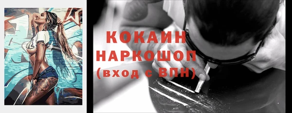 ГАЛЛЮЦИНОГЕННЫЕ ГРИБЫ Кукмор