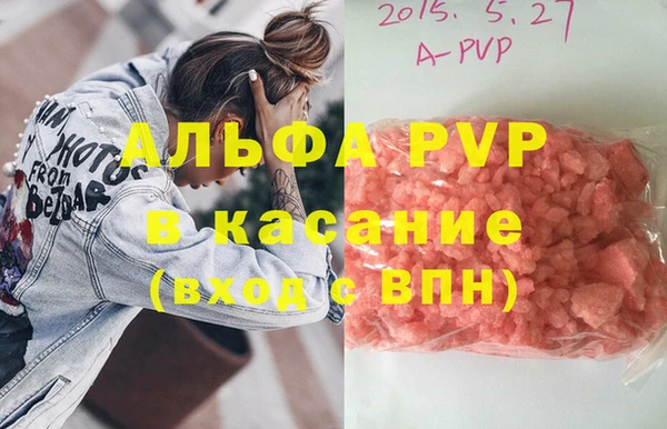 стафф Новодвинск