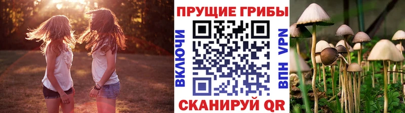Галлюциногенные грибы Psilocybine cubensis сайты даркнета какой сайт Сретенск